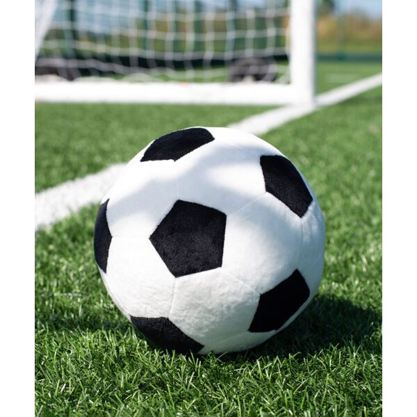 Zippie football Thumbnail