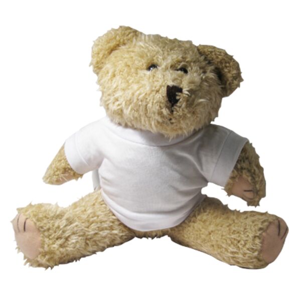 Soft Toy - Shaggy Bear Thumbnail